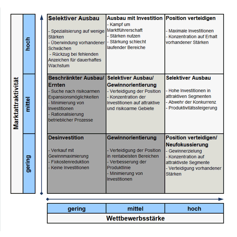 Mckinsey Matrix Mckinsey Portfolio 9 Felder Matrix Excel Controlling